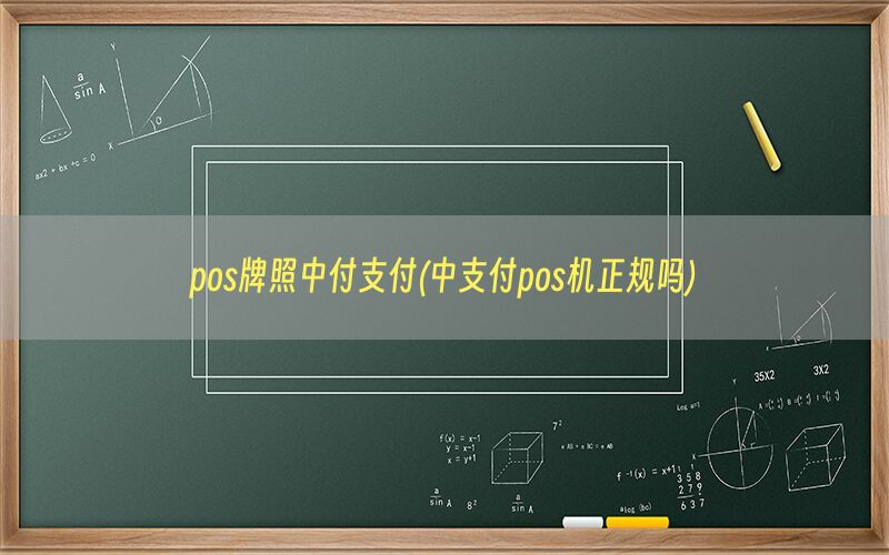 pos牌照中付支付(中支付pos机正规吗)