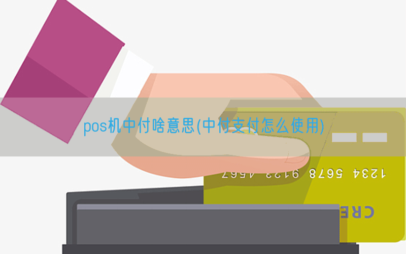 pos机中付啥意思(中付支付怎么使用)