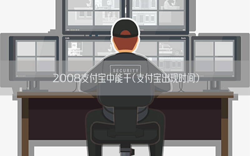 2008支付宝中能干(支付宝出现时间)