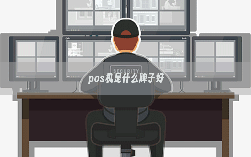 pos机是什么牌子好