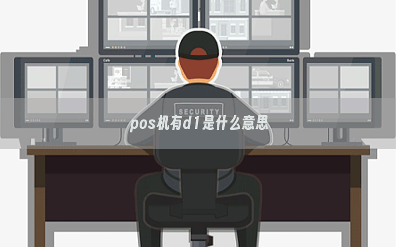 pos机有d1是什么意思