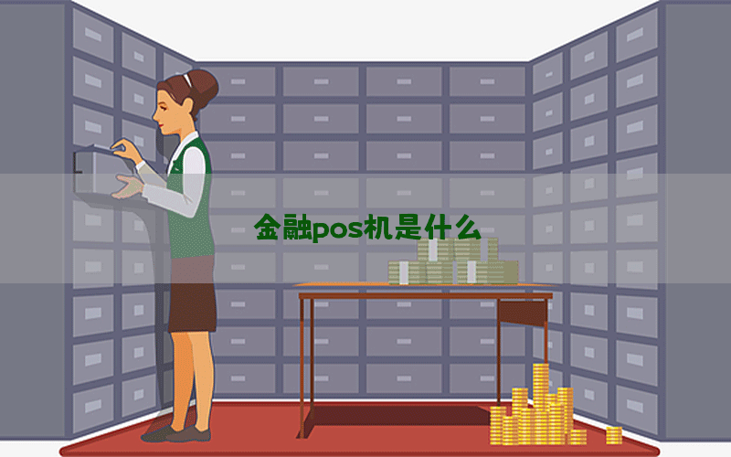 金融pos机是什么