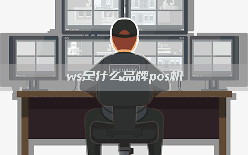 ws是什么品牌pos机