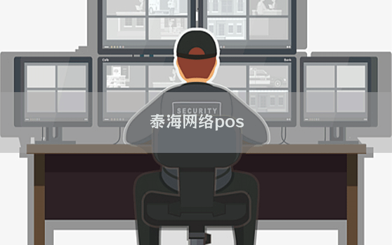 泰海网络pos