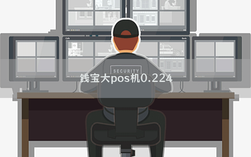 钱宝大pos机0.224